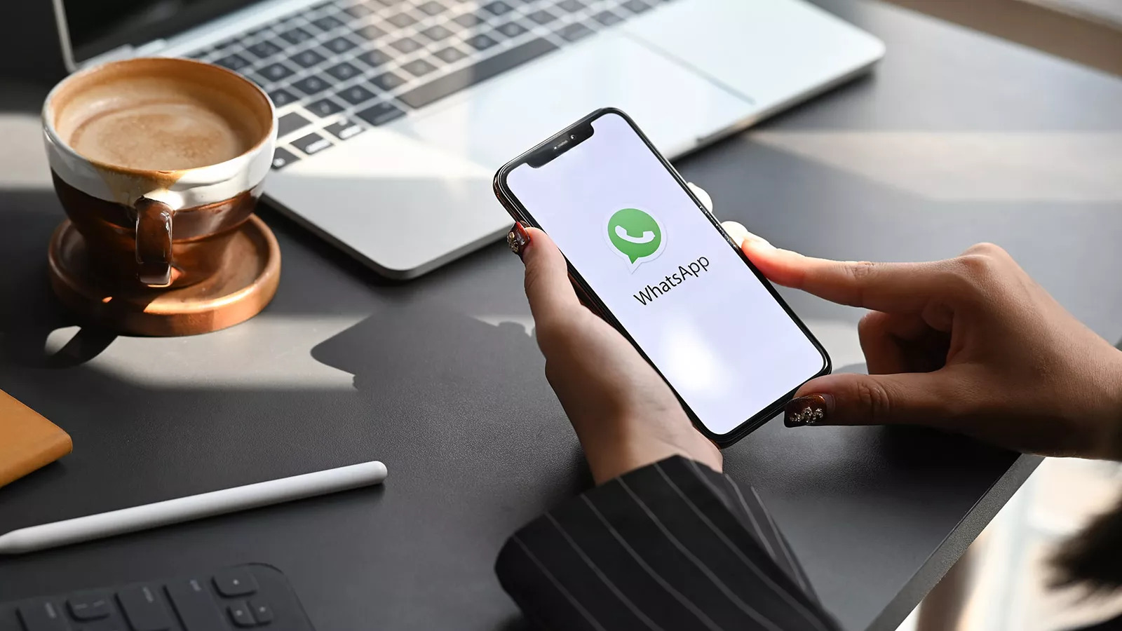 WhatsApp скоро позволит сообщать о спаме и неуместных сообщениях в групповых чатах